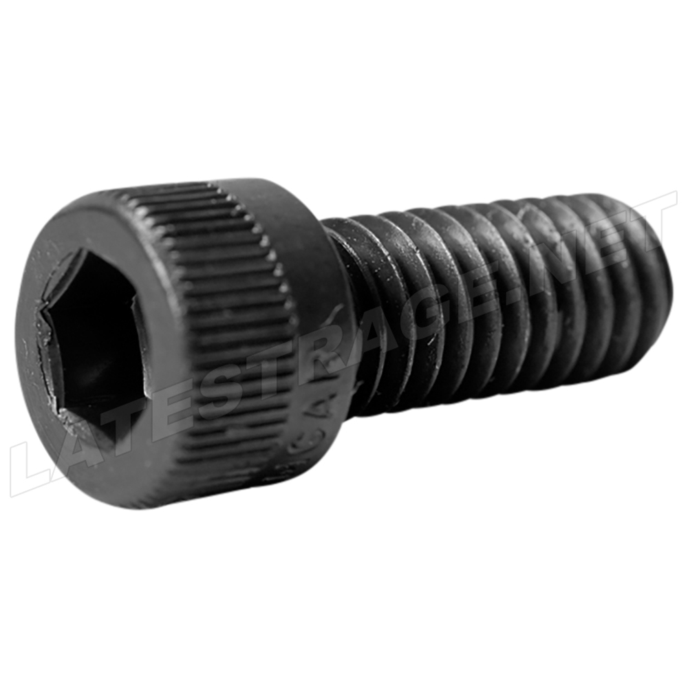CHARLYNN MOUNTING BOLT