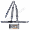 DLXS323PG