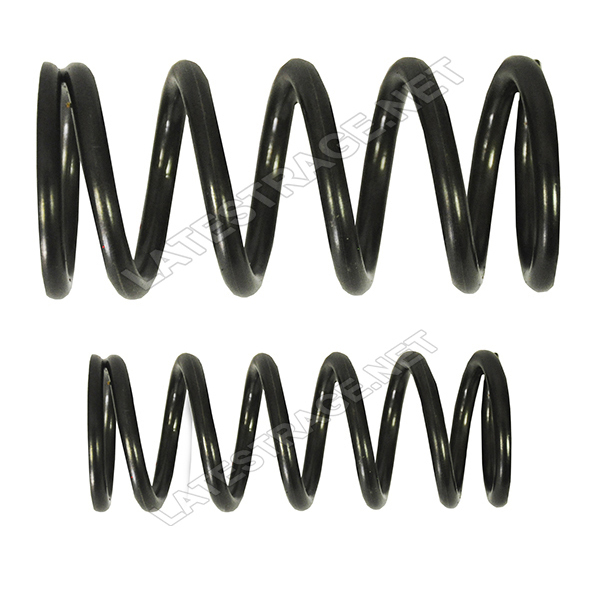 HIGH REV VALVE SPRINGS
