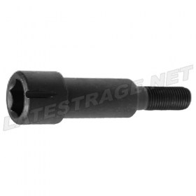 IRS PIVOT BOLT