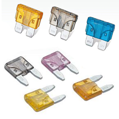 SINGLE FUSES